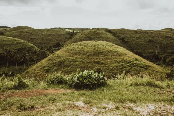 Teletubbies Kullar Nusa Penida Indonesien Fantastisk Utsikt Vacker Plats Med — Stockfoto