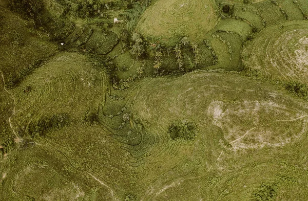 Nusa Penida Adası Endonezya 'daki Teletubbies tepeleri. Harika bir manzara. Yeşil tepeleri olan güzel bir yer