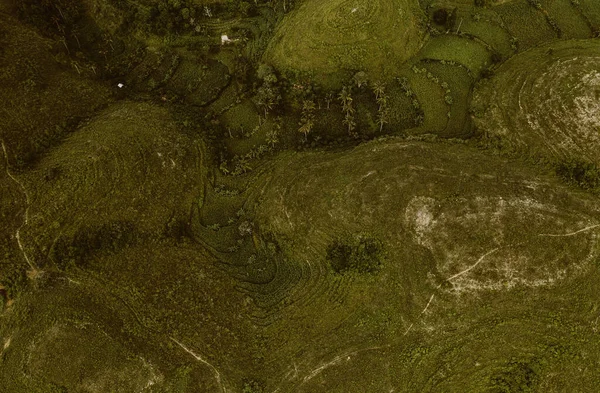 Nusa Penida Adası 'ndaki Teletubbies tepeleri Ufukta nefes kesen manzaralı yeşil tepe manzarası.. 