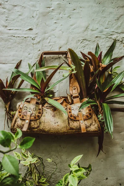 Vue Mur Gris Décoré Par Des Plantes Dans Des Sacs — Photo