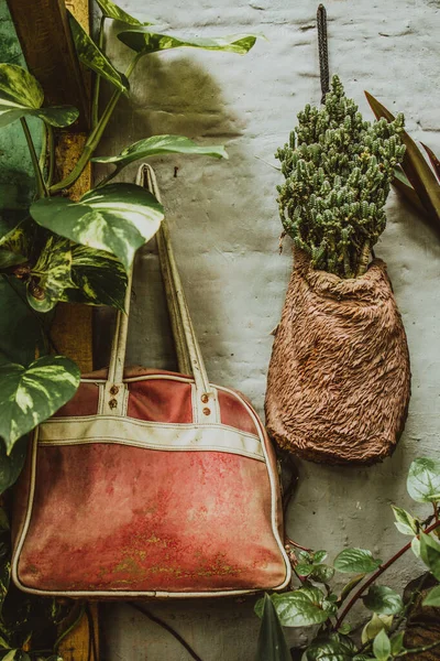 Vue Mur Gris Décoré Par Des Plantes Dans Des Sacs — Photo