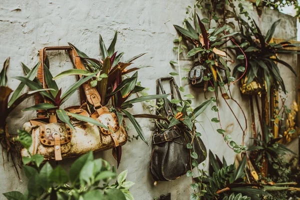 Vue Mur Gris Décoré Par Des Plantes Dans Des Sacs — Photo