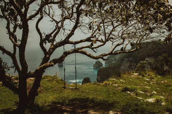 Vista Balanço Vazio Pendurado Árvore Fundo Mar Fotos De Bancos De Imagens Sem Royalties