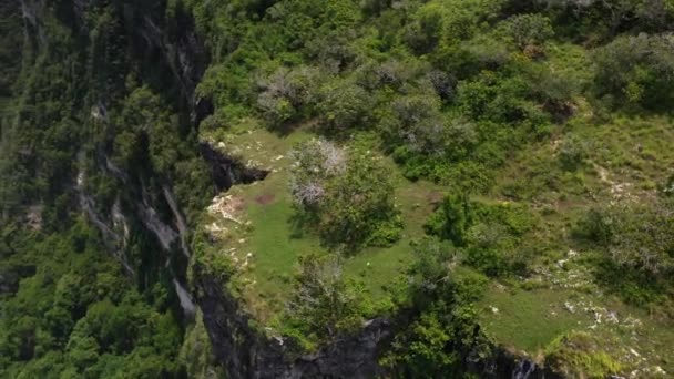 Vista Aérea Costa Del Acantilado Rocoso Isla Nusa Penida Bali — Vídeos de Stock