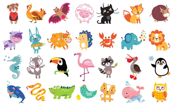 Hayvanlar büyük ayarla