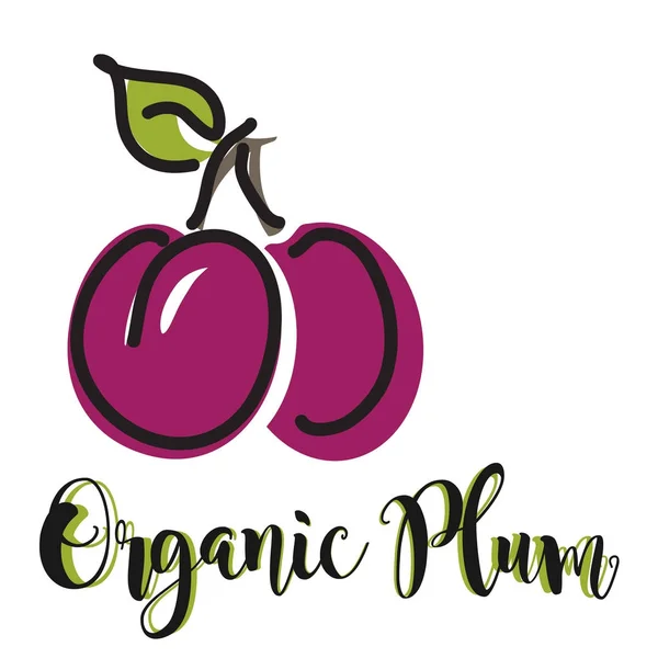 Organic Plum Wite — Stock Vector