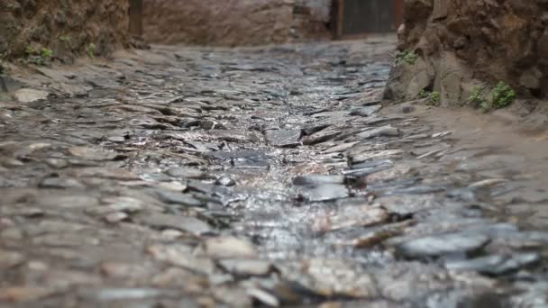 村里的水在石路上流淌 农村和自然生活 休闲景象 — 图库视频影像