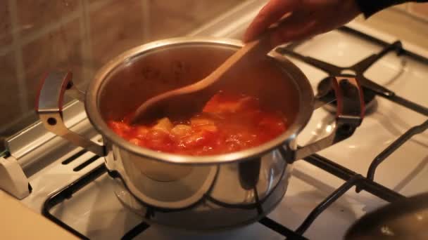 Cocinar Comida Olla Cocinar Plato Patatas Olla Casa Mezcla Alimentos — Vídeos de Stock