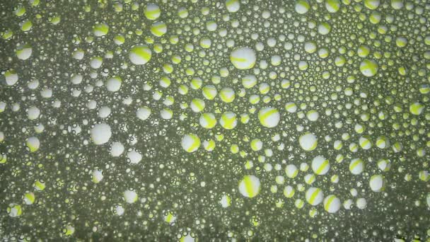 Couleurs fluides sur les bulles d'eau. Peinture multicolore fluide gouttes fond abstrait. Fantastique, futuriste bulles colorées animation 