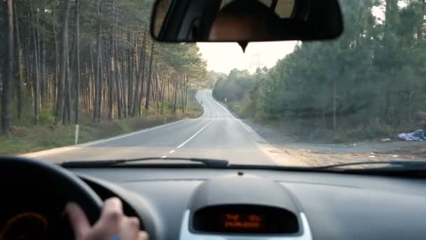男が田舎道を車で走っている 農村部の森林道路の車を運転 — ストック動画