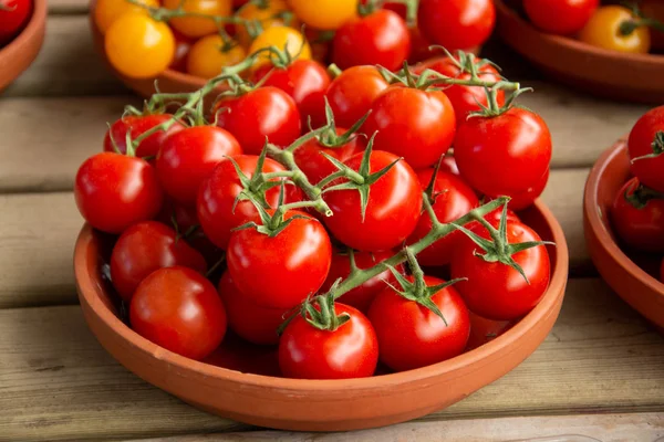 A bunch of red tomatoes in a clay plate Royalty Free Stock Photos