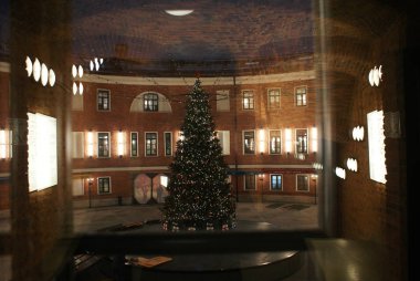 St. Pererburg 'da gece Noel ağacı, Yeni Yıl ve Noel tatili.