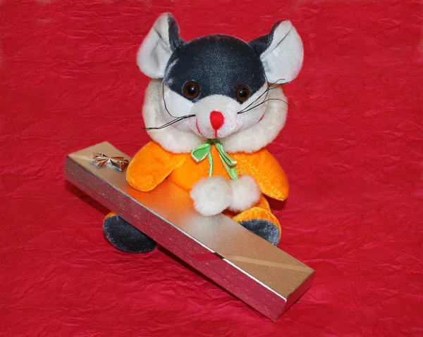 Soft Toy Mouse Rat Gift — Stock Photo, Image