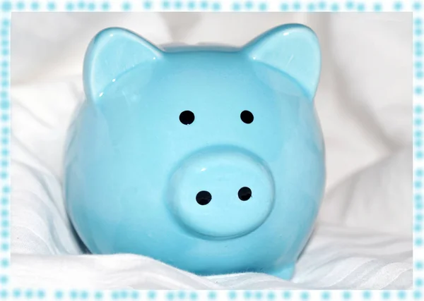 Piggy bank in the form of a pig, savings.
