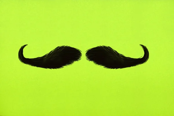 Black male mustache on a green background, illustration.