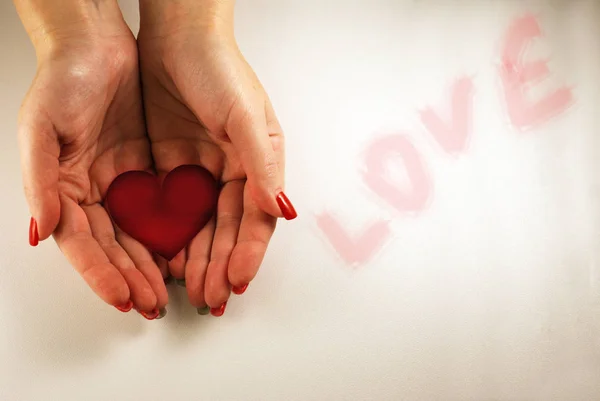 Heart in female hands, love, healthy heart.