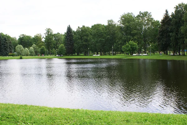 Sjön Parken Som Speglar Träd Natur Sommar — Stockfoto