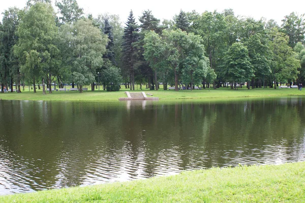 Lago Nel Parco Che Riflette Alberi Natura Estate — Foto Stock