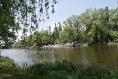 Parktaki göl, ağaçları, doğayı, yazı yansıtır..