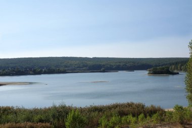 Ormandaki nehir, vahşi yaşam, yaz.