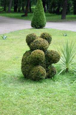 Yazın şehir parkı, vahşi yaşam, ağaçlar.