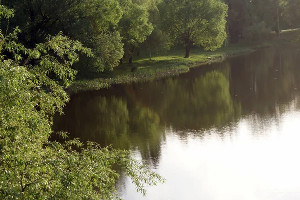 Озеро Парке Которое Отражает Деревья Природу Лето — стоковое фото