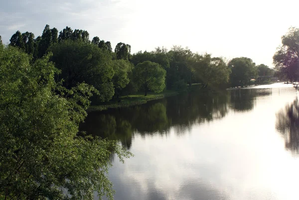 Sjön Parken Som Speglar Träd Natur Sommar — Stockfoto