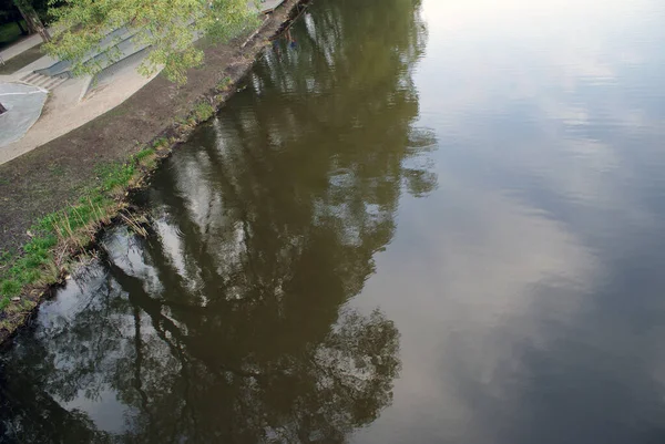 Lago Nel Parco Che Riflette Alberi Natura Estate — Foto Stock