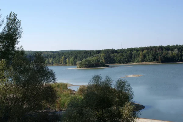 Rivier Het Bos Wilde Dieren Zomer — Stockfoto