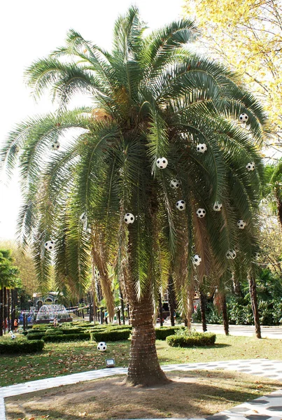 Palm Tree Decorated Soccer Balls Amusement Park — Stock Photo, Image