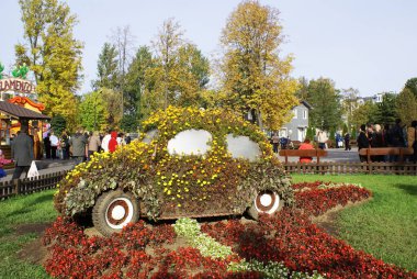 Çocuk eğlence parkı, eğlence parkı..