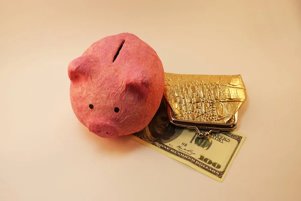 Piggy bank in the form of a pink pig, a gold purse and US dollars, money.