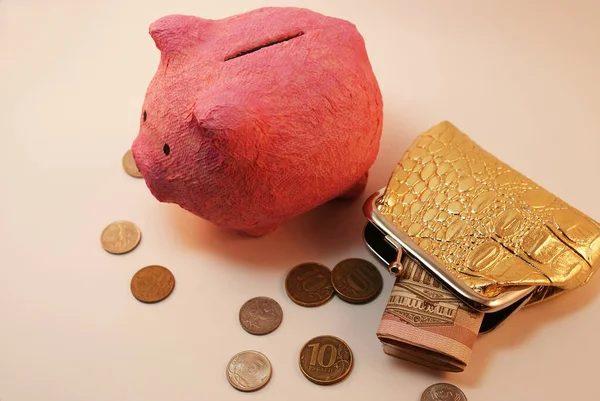 Piggy bank in the form of a pink pig, a gold purse and Russian money.