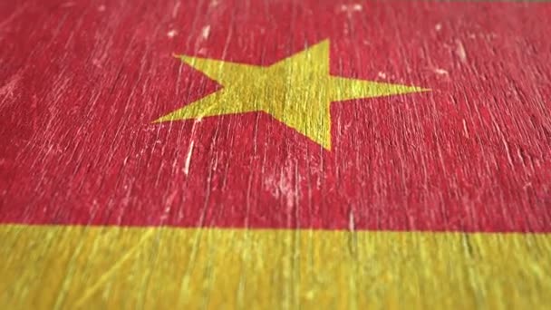 Bandeira Dos Camarões Detalhe Sobre Madeira Profundidade Campo Rasa Laço — Vídeo de Stock