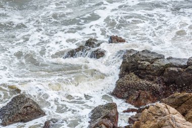 çalkalama deniz suyu