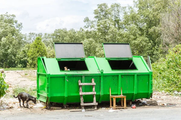 Openbare bin met zwerfhond — Stockfoto