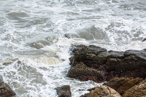 Deniz suyu ile yüksek çekim hızı çalkalama eylemi durdurmak