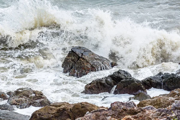 çalkalama deniz suyu