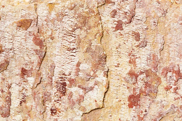 Close Old Dirty Rock Stone Texture Nature Background — Stock Photo, Image