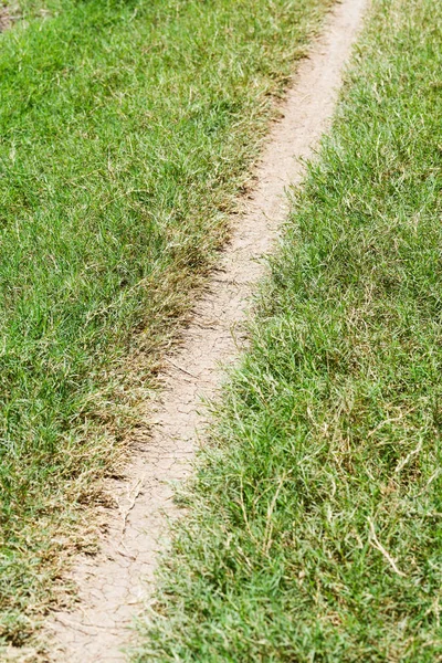 Drobny gleba ścieżkę w polu — Zdjęcie stockowe