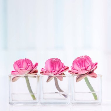 Nilüfer çiçeği dekorasyonu