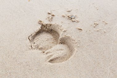 At ayak izleri beach, kum pistte kapatın