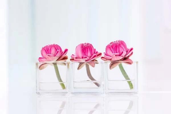 ハスの花や睡蓮装飾ガラス花瓶をテーブルの上で仏教や禅の瞑想の概念 — ストック写真