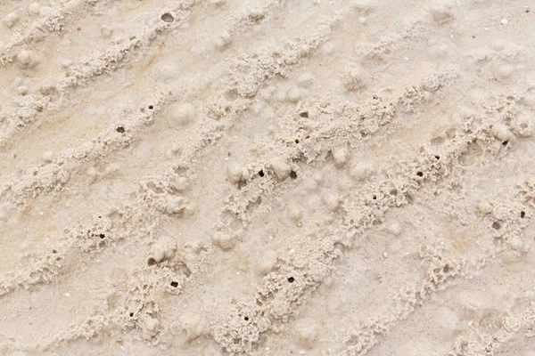 Astratto Buco Granchio Fantasma Sulla Spiaggia Piccola Creatura — Foto Stock