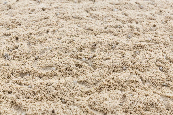 抽象的幽灵蟹洞在海滩上 小生物 — 图库照片