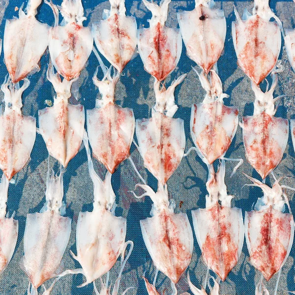 Calamari Essiccati Disidratati Dal Calore Della Luce Solare Sulla Rete — Foto Stock