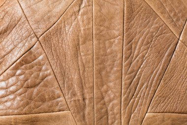 Kahverengi renk hakiki deri
