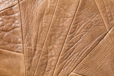 Kahverengi renk hakiki deri