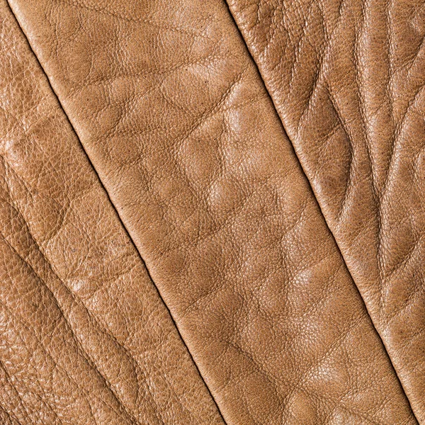 Couleur marron Cuir véritable — Photo