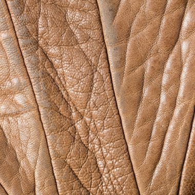 Kahverengi renk hakiki deri doku kadar kapatın